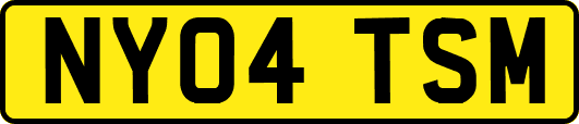 NY04TSM