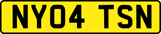 NY04TSN