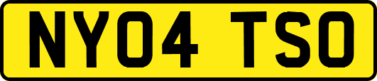 NY04TSO