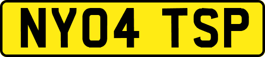 NY04TSP