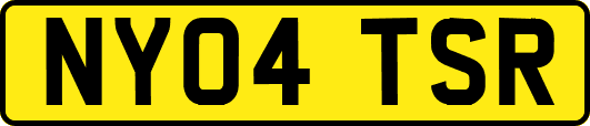 NY04TSR