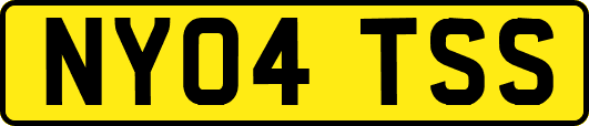 NY04TSS