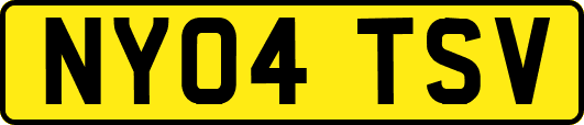 NY04TSV