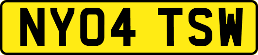 NY04TSW