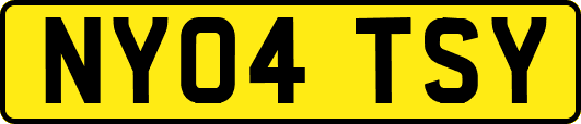 NY04TSY