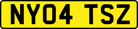 NY04TSZ