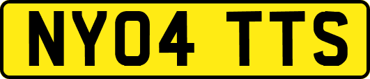 NY04TTS