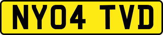 NY04TVD