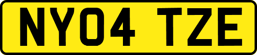 NY04TZE