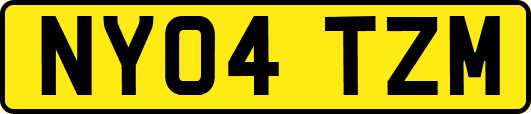 NY04TZM