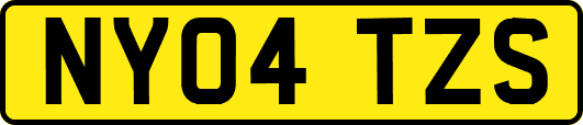 NY04TZS
