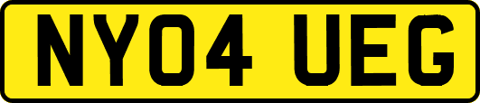 NY04UEG
