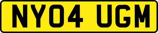 NY04UGM