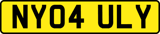 NY04ULY