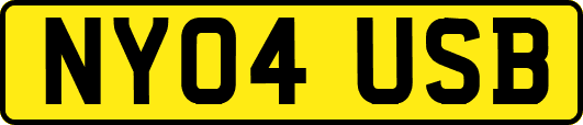 NY04USB