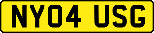 NY04USG