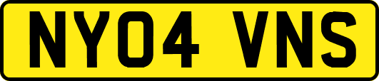 NY04VNS