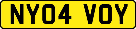 NY04VOY