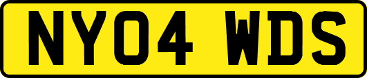 NY04WDS