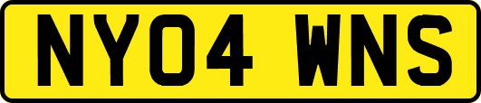 NY04WNS
