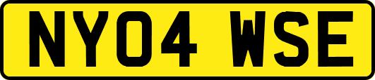 NY04WSE