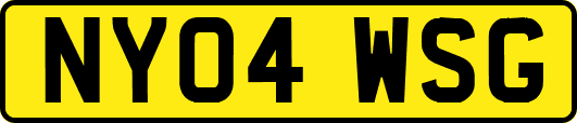 NY04WSG