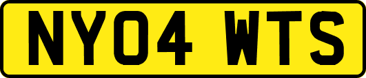 NY04WTS