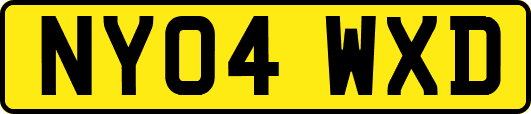 NY04WXD