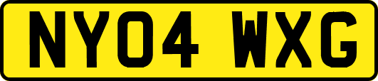NY04WXG