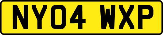 NY04WXP