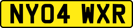 NY04WXR