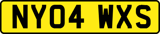 NY04WXS