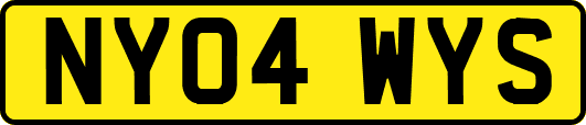 NY04WYS