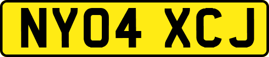 NY04XCJ