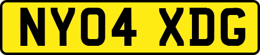 NY04XDG
