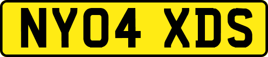 NY04XDS