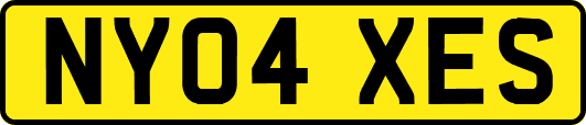 NY04XES