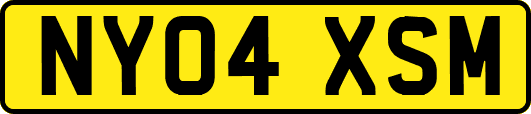 NY04XSM