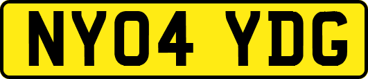 NY04YDG
