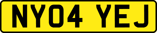 NY04YEJ