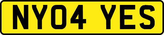 NY04YES