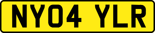 NY04YLR