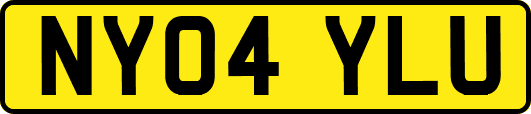 NY04YLU