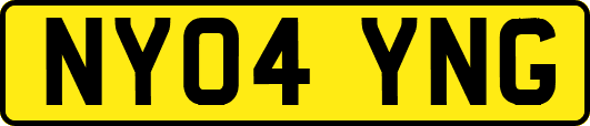NY04YNG