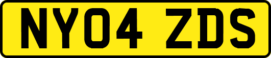 NY04ZDS
