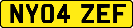 NY04ZEF