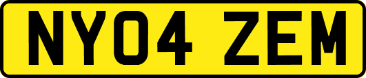 NY04ZEM