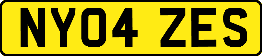 NY04ZES