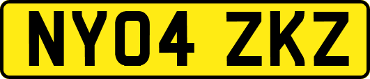 NY04ZKZ