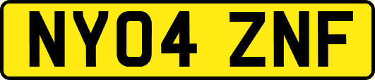 NY04ZNF